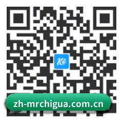 安卓原生吃瓜版 二维码